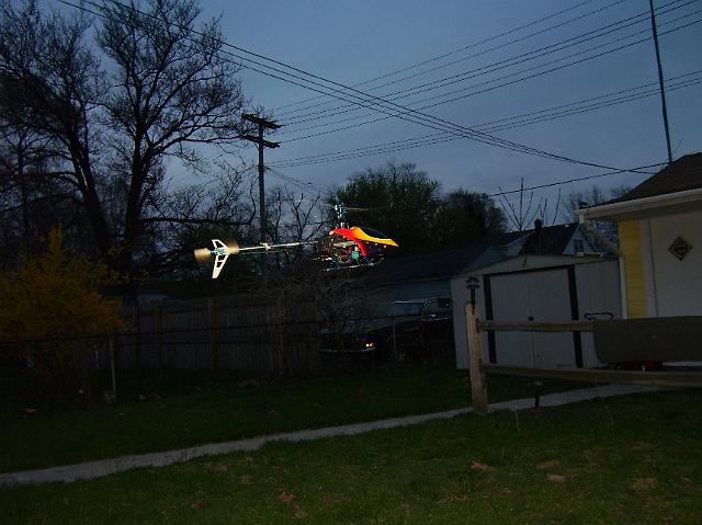 NewCanopy 007.jpg